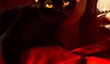 欧美在线高清在线观看,在线观看无界限