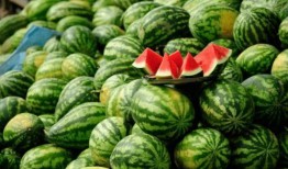 有过吃瓜的网红,揭秘娱乐圈幕后真相