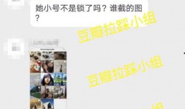 陈飞爆料视频大全最新版,揭秘娱乐圈不为人知的一面