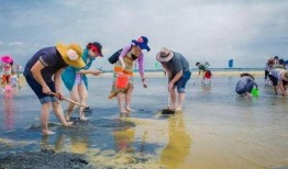 户外赶海爆料视频下载,揭秘户外赶海爆红视频背后的精彩瞬间