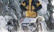 冰狗任务在线观看,在线观看，揭秘极地冒险之旅