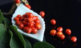 一颗红豆在线观看,浪漫邂逅，情感共鸣