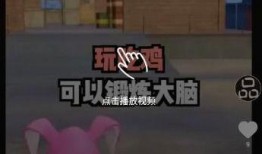 疯狂的熊猫爆料视频下载,下载背后的秘密与精彩瞬间