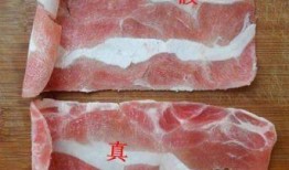 假羊肉爆料视频,视频曝光惊人内幕