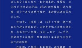 成都双流新闻爆料,突发事件引发关注，详情即将揭晓