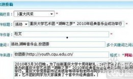 宝安新闻爆料投稿入口官网,开启全民参与新闻报道的新篇章