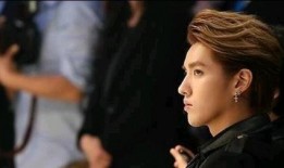 吴亦凡相关爆料视频,揭秘背后真相与争议
