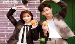 甘娟爆料视频大全集,揭秘背后真相与精彩瞬间