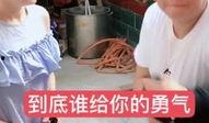 二姐爆料小诸葛视频,二姐爆料视频背后的故事