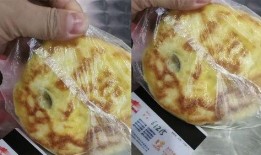 烧饼父母爆料视频大全,揭秘家庭生活点滴