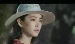 一颗红豆在线观看,浪漫邂逅，情感共鸣