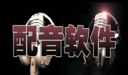娱乐爆料配音软件