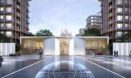 郑州建业最新爆料,揭秘球队新阵容与备战计划