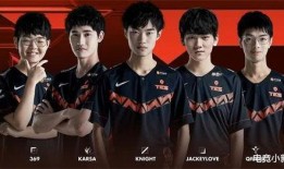 世界赛战队爆料视频大全,揭秘赛场幕后精彩瞬间