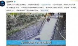 男子爆料景区视频大全,揭秘旅游背后的真相与争议