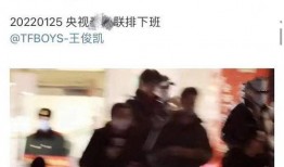 台湾小凯爆料视频,揭秘娱乐圈惊人内幕