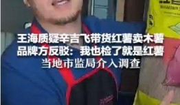 爆料人辛吉飞是谁啊视频,爆料人背后的故事与影响力