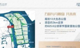 新闻爆料的要素,揭秘新闻事件背后惊人真相