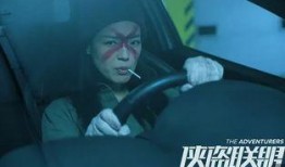 侠盗高清在线观看,巅峰对决，在线盛宴