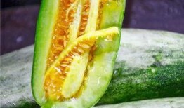 有过吃瓜的网红,揭秘娱乐圈幕后真相