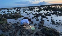 户外赶海爆料视频下载,揭秘户外赶海爆红视频背后的精彩瞬间