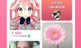 返场爆料最新视频下载软件,返场爆料视频软件深度解析