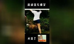 逗乐爆料视频大全最新下载,最新下载，笑点满满，欢乐无限！