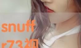 73在线观看,揭秘热门剧集背后的精彩故事