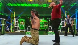 wwe视频在线观看,在线观看经典对决