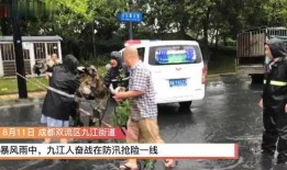 成都双流新闻爆料,突发事件引发关注，详情即将揭晓