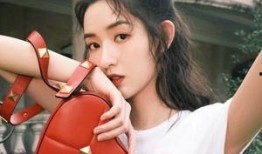 娱乐圈爆料王玉雯视频大全,娱乐圈爆料王的精彩瞬间回顾