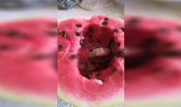 最新七夕吃瓜爆料,明星情侣幕后秘闻大揭秘