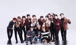 五画爆料是什么人物啊视频,探寻神秘人物背后的故事