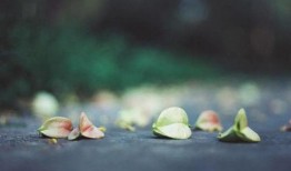 恋爱爆料小故事视频下载,揭秘恋爱爆料小故事视频幕后下载秘籍