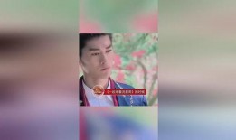 狗仔爆料张翰视频播放在线观看,张翰私密视频在线播放，揭秘明星幕后生活