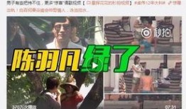 专家爆料美队视频完整版,专家深度解析幕后真相