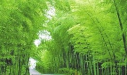 竹林小区新闻爆料视频大全,热点事件尽收眼底