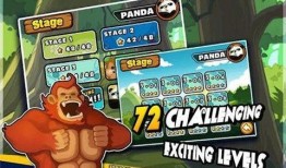 疯狂的熊猫爆料视频下载,下载背后的秘密与精彩瞬间