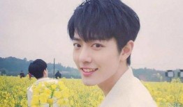 吃瓜者侃娱乐 肖战,从流量小生到实力派，吃瓜者视角下的蜕变之路