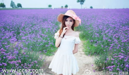 3d豪情2手机在线观看,手机在线观影，激情四溢的视觉盛宴