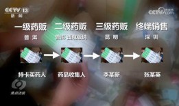 薄荷爆料全过程视频,揭秘事件真相与幕后故事