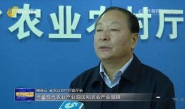费县爆料新闻事件