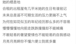 宝山新闻爆料事件视频最新,视频揭露惊人真相，网友热议不断
